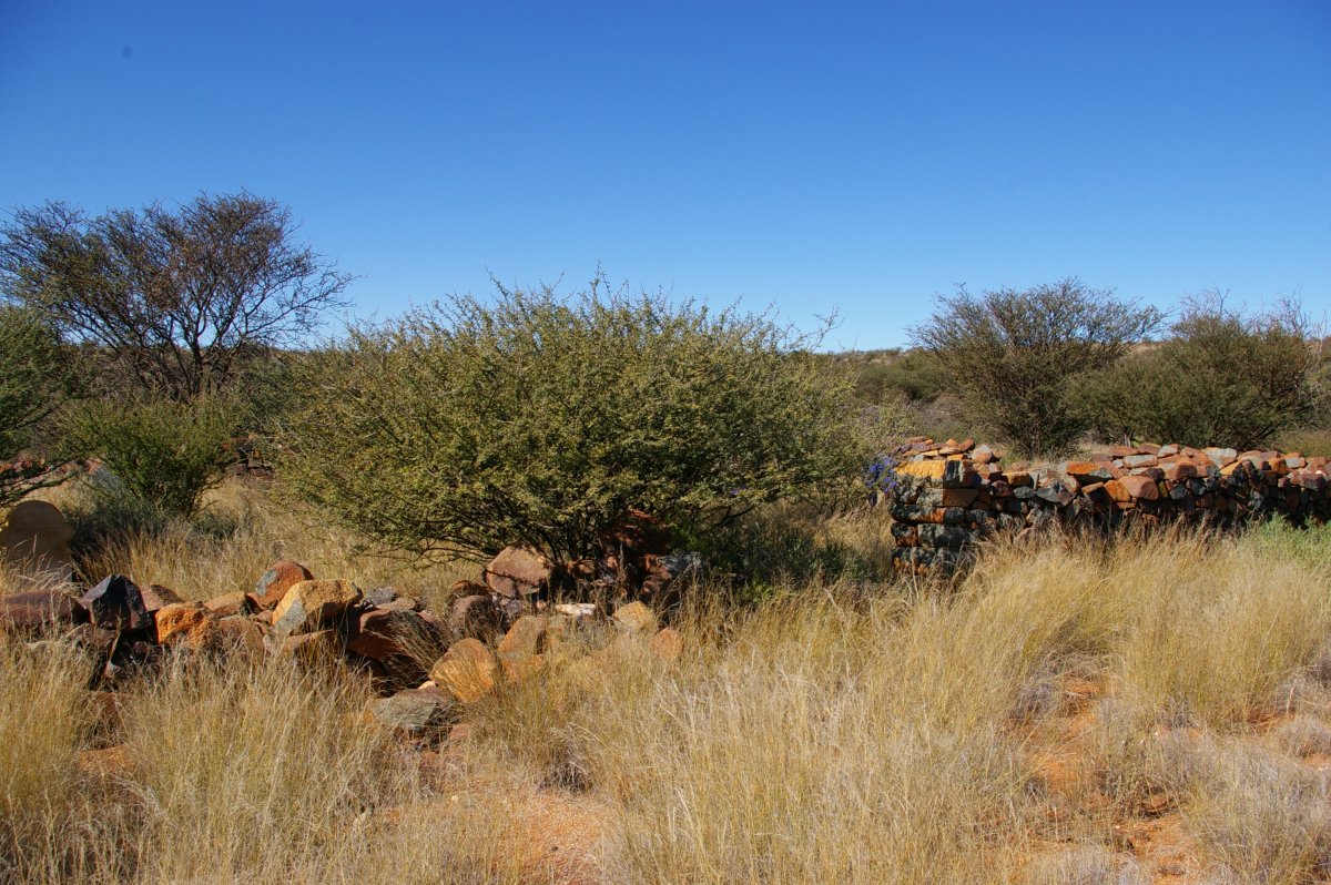 2. Overview