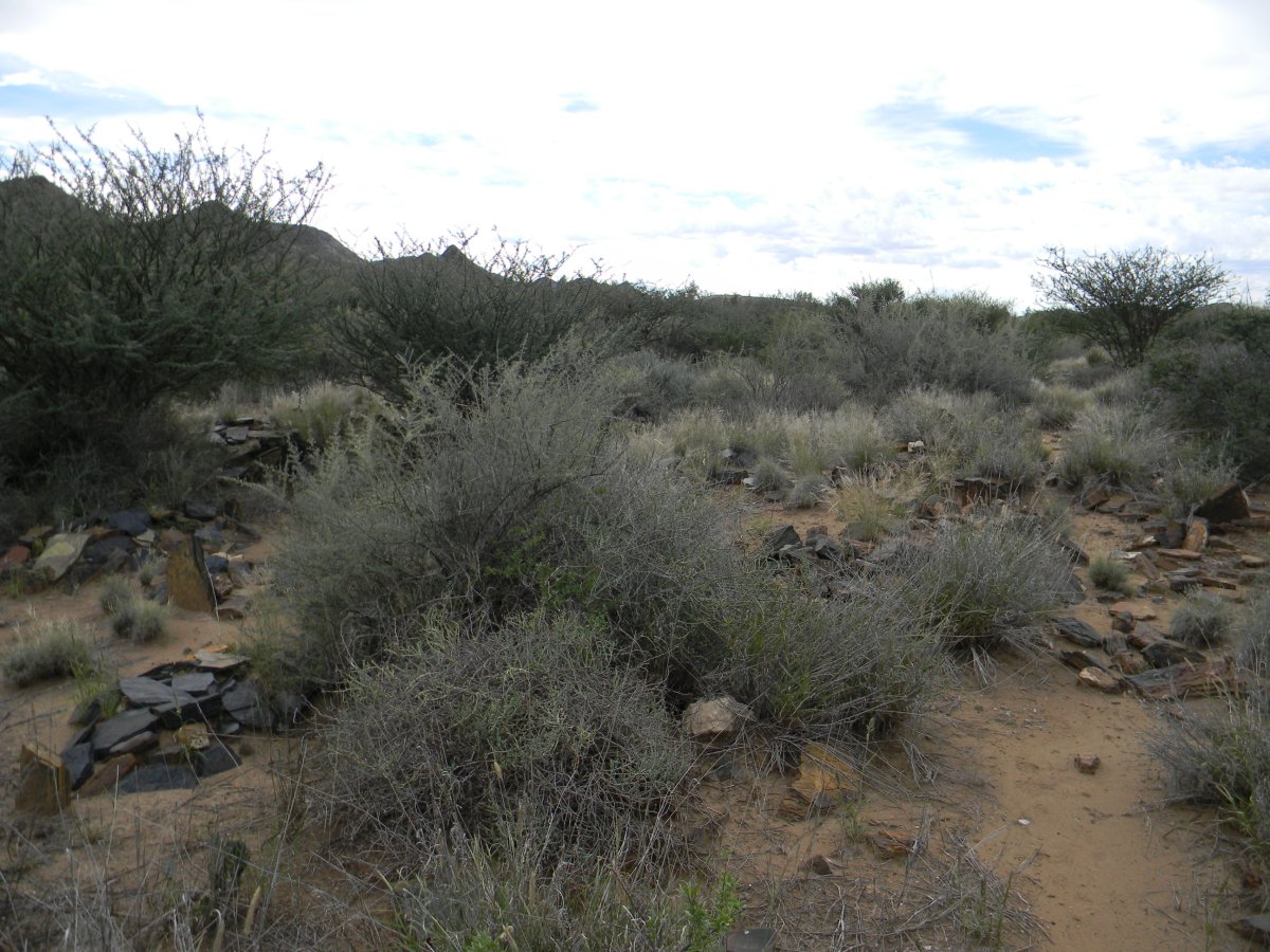 ? Unmarked Grave