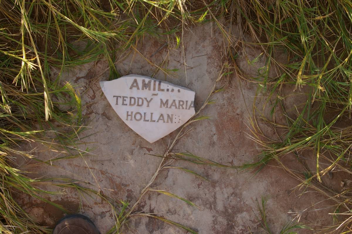 HOLLAND Teddy Maria