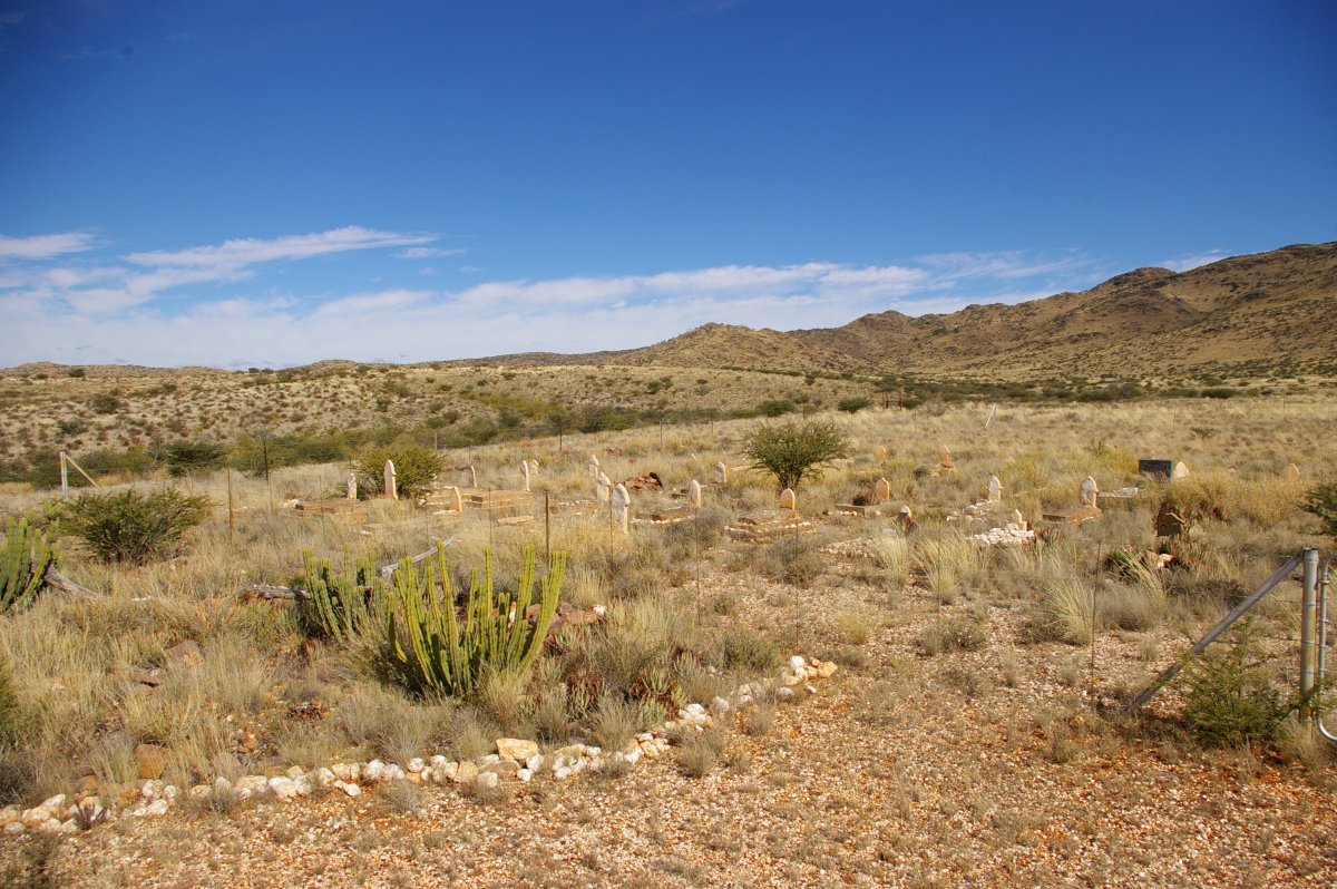 3. Overview