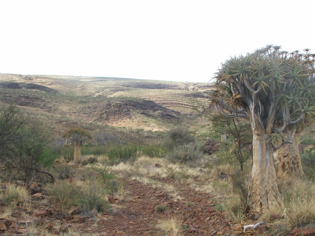 1. Overview on the area of the gravesite