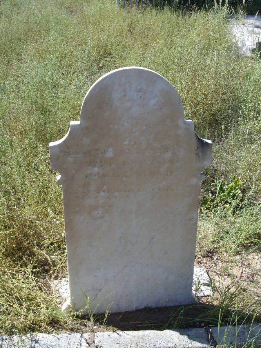 HANEKOM Albertus Petrus 1863-1906