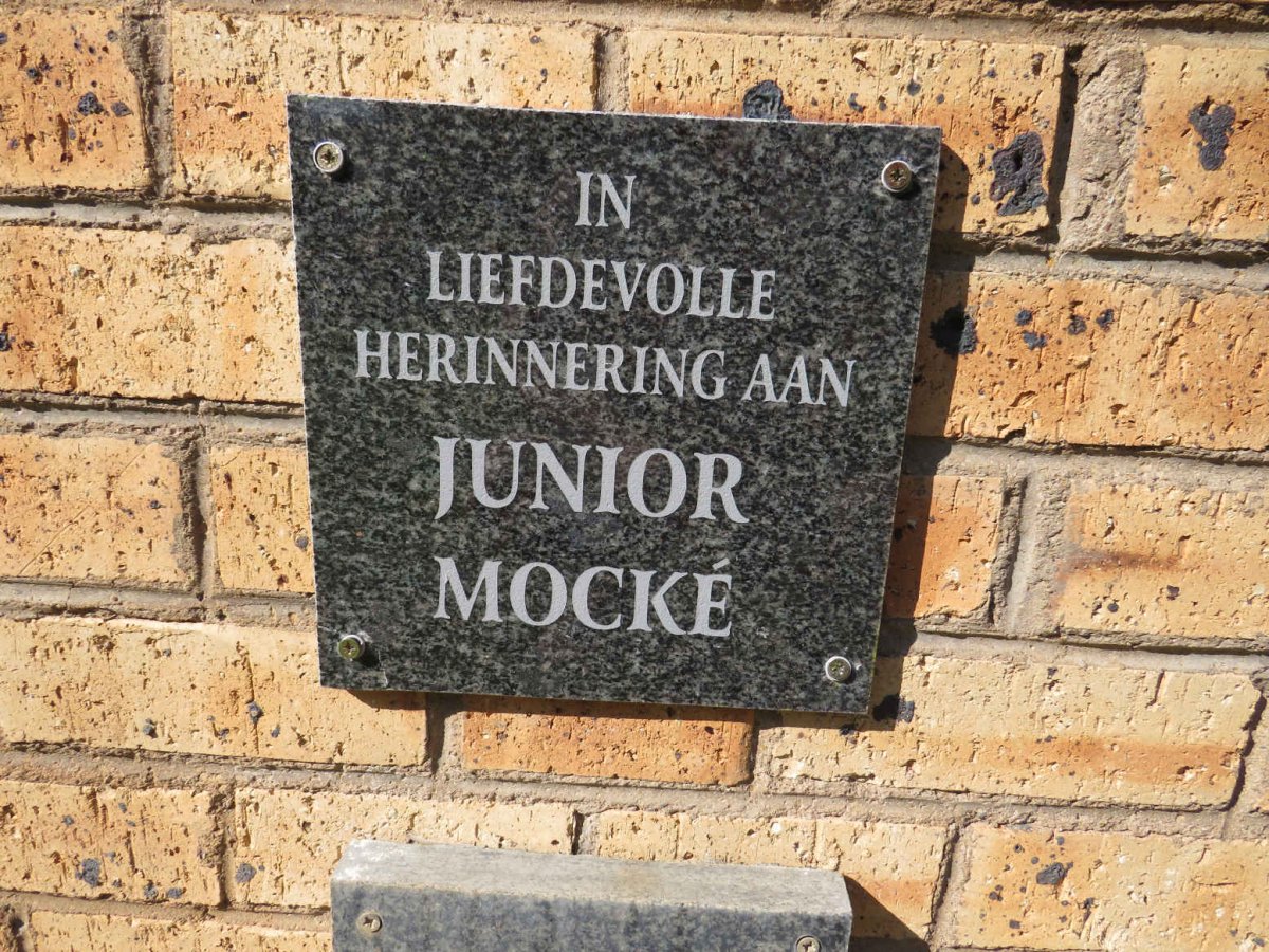 MOCKE Junior