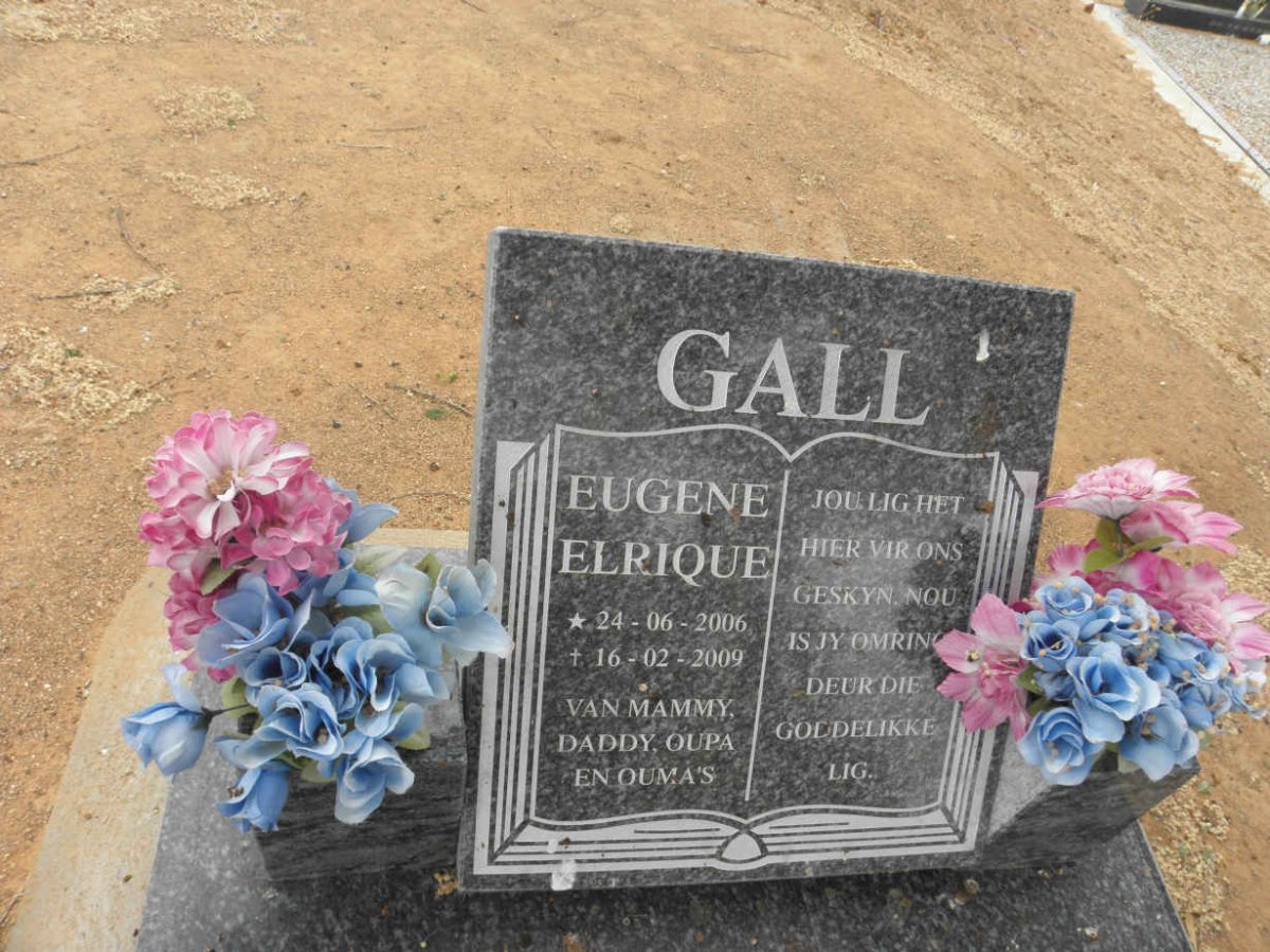 GALL Eugene Elrique 2006-2009