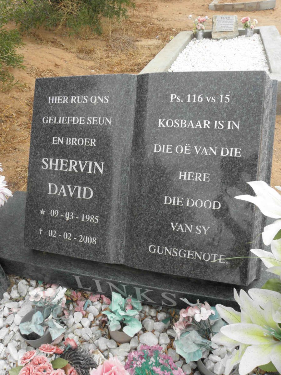 LINKS Shervin David 1985-2008