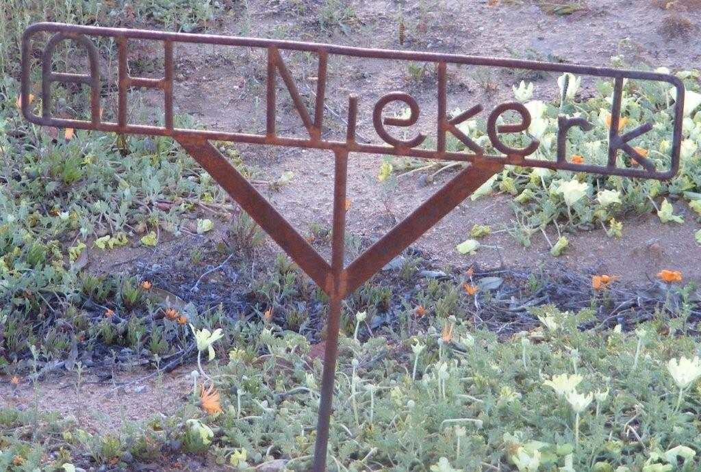 NIEKERK A.H.