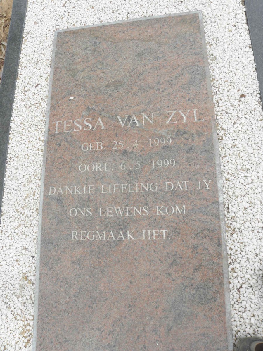 ZYL Tessa, van 1999-1999