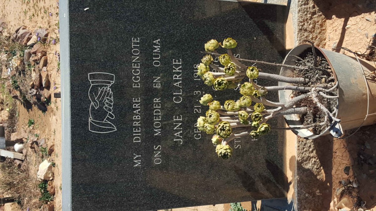 CLARKE Jane 1918-1976
