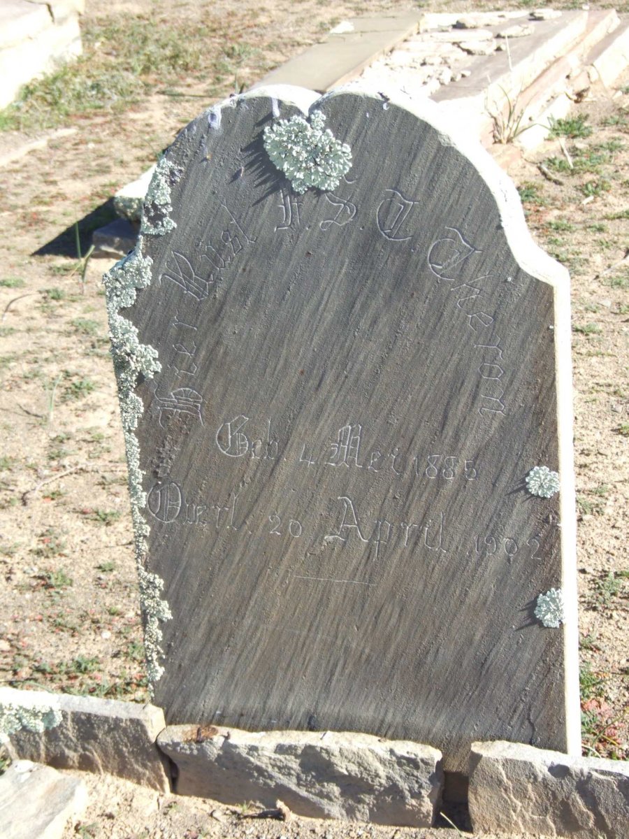 THERON H.S.T. 1885-1902