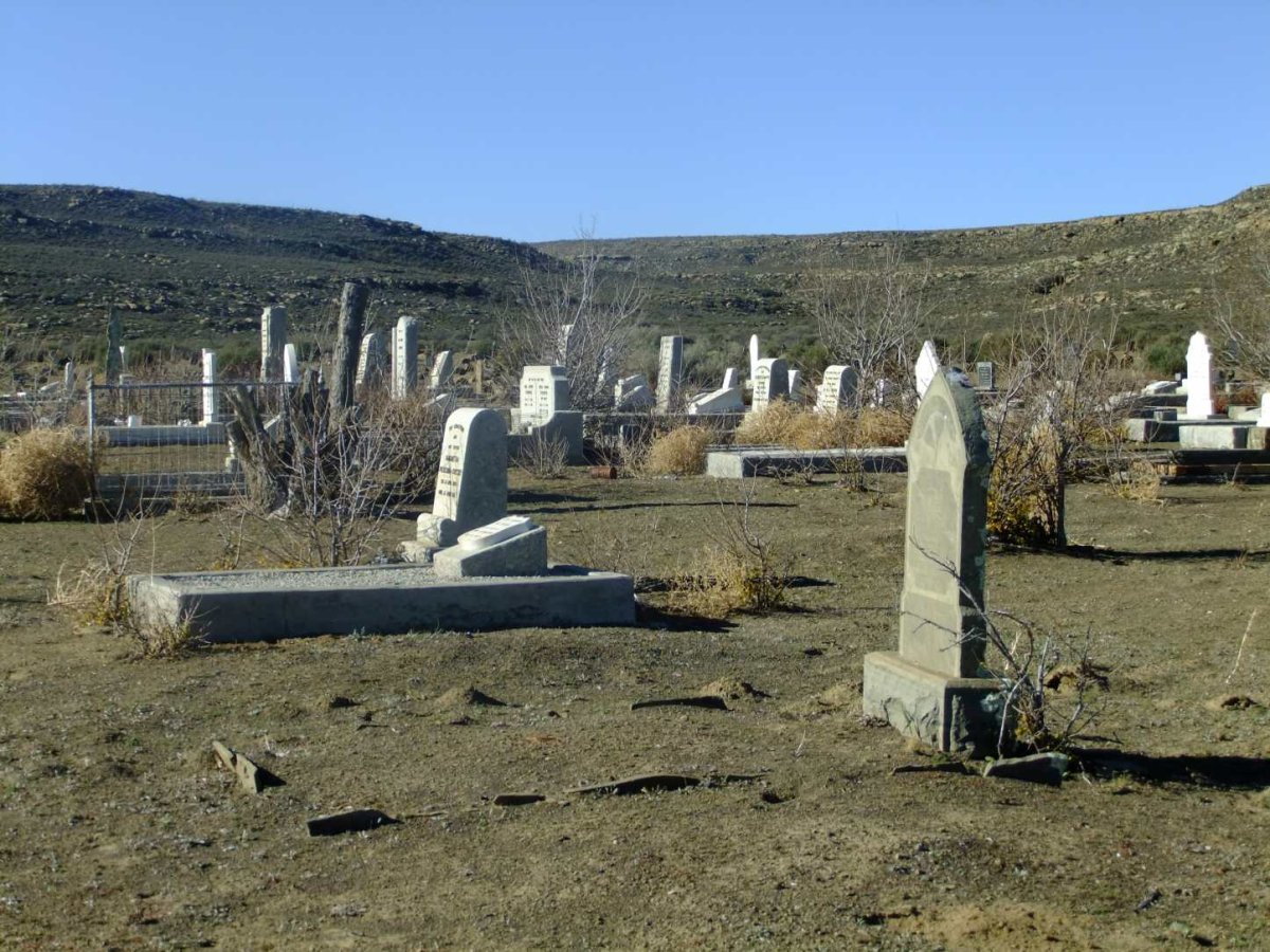 03. Overview