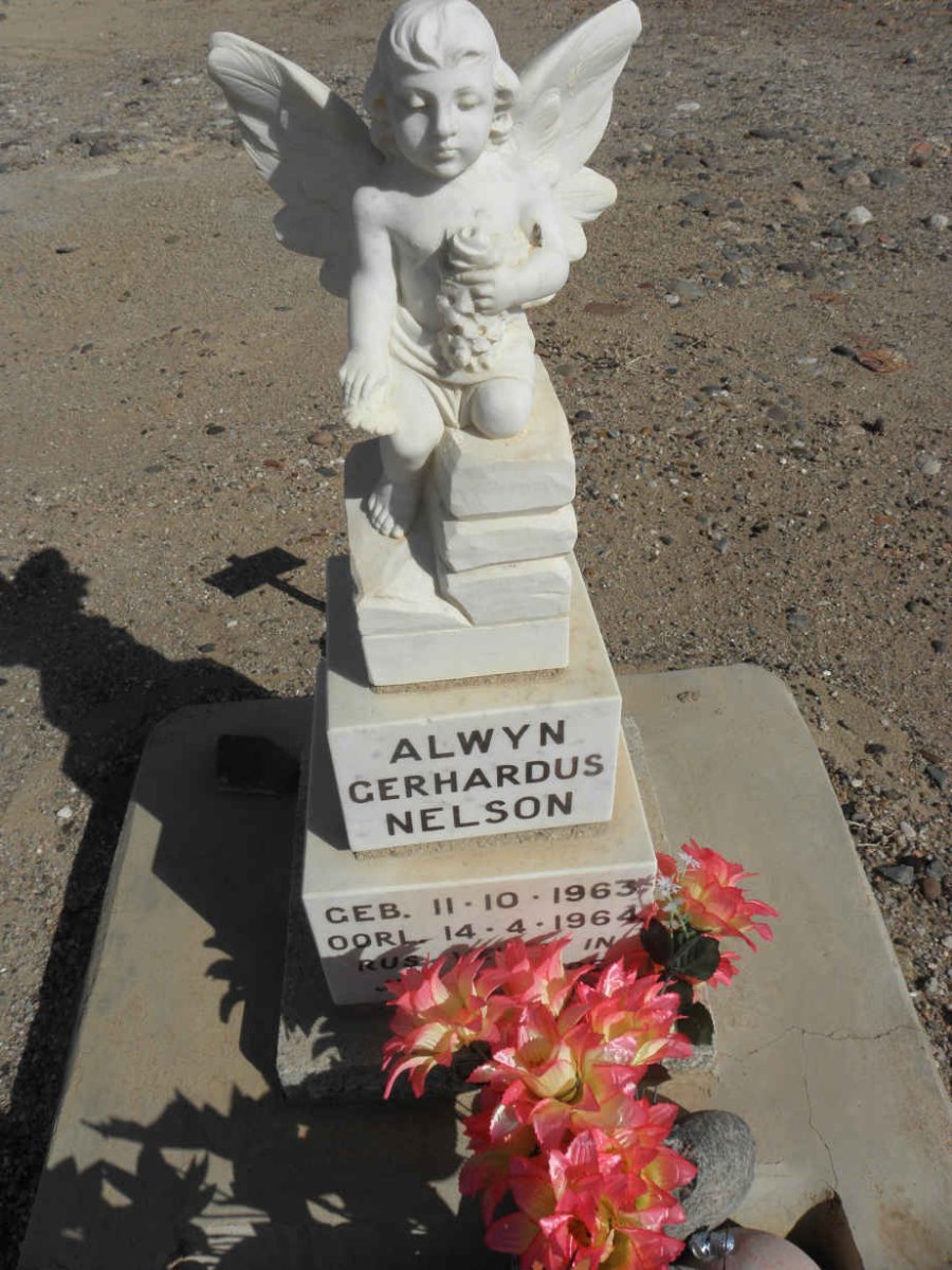 NELSON Alwyn Gerhardus 1963-1964