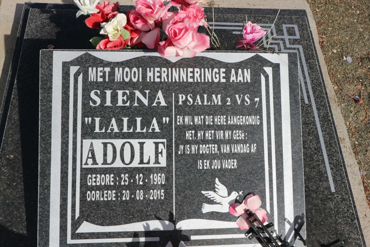 ADOLF Siena 1960-2015