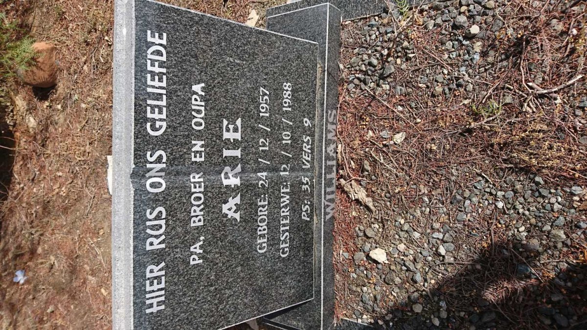 WILLIAMS Arie 1957-1988