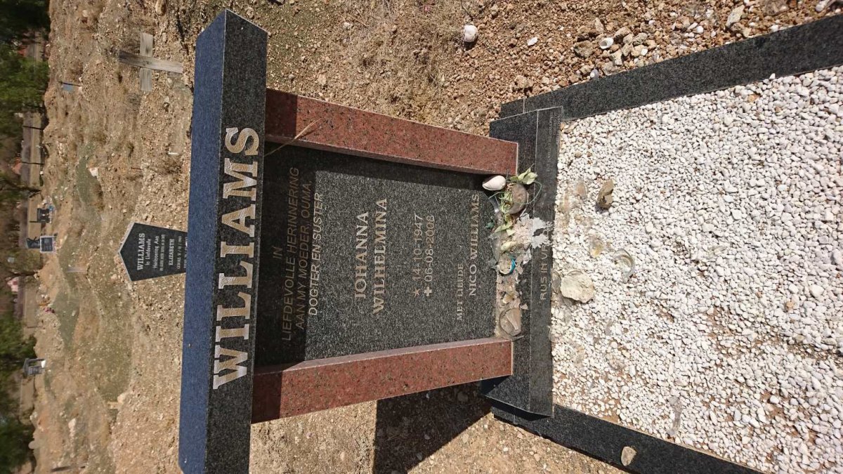 WILLIAMS Johanna Wilhelmina 1947-2008