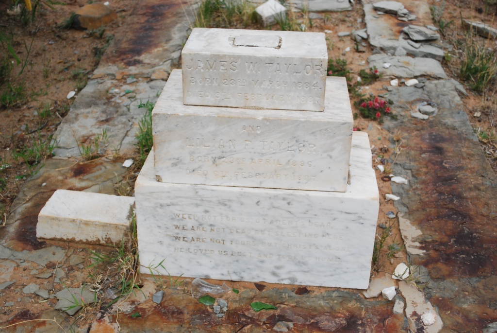TAYLOR James W. 18?4-18?7 :: TAYLOR Lilian F. 18??-1??7