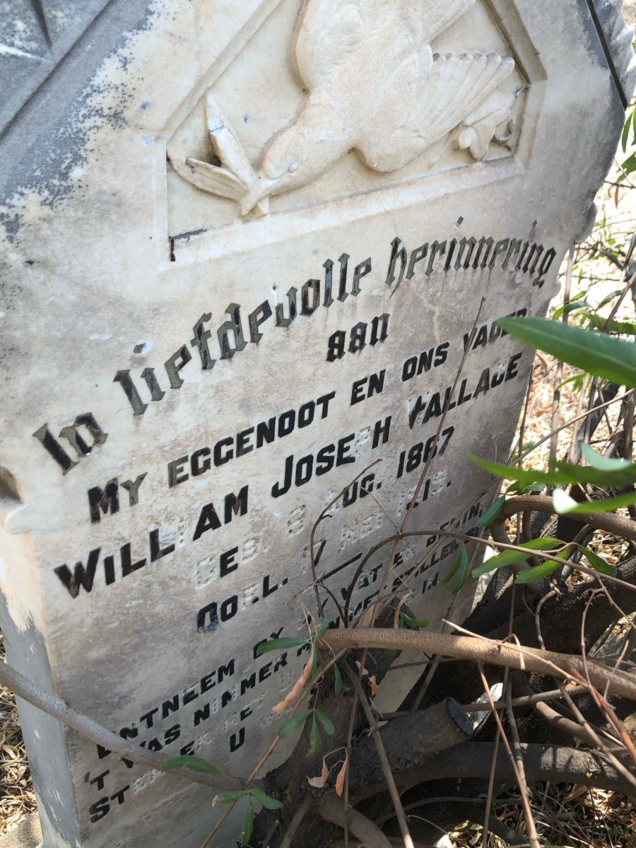 WALLACE William Joseph 1867-1919